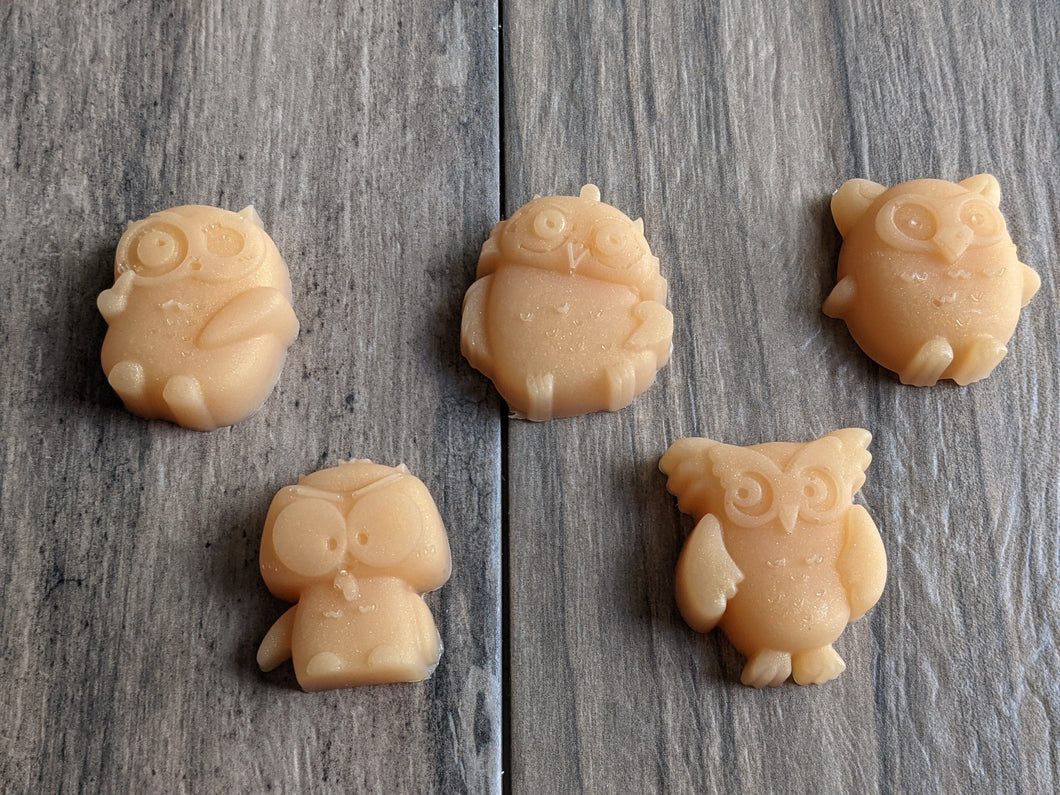 OWL Soap Bar FALL SUN