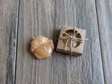 Load image into Gallery viewer, OWL Soap Bar FALL SUN