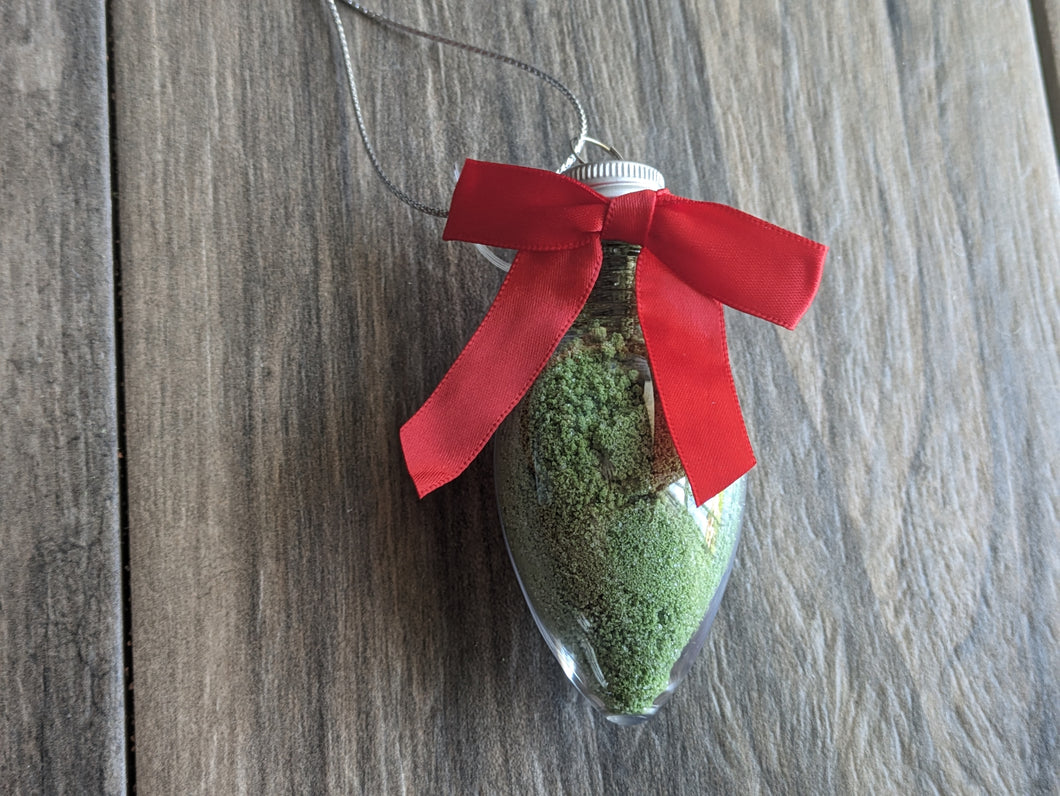 CHRISTMAS LIGHT BULB Bath Fizz Powder TWO SCENTS