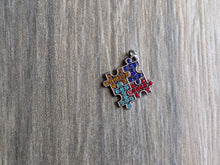 Load image into Gallery viewer, SPECIAL OFFER Autism Awareness Jewelry