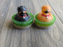 Load image into Gallery viewer, DOG Ducks Soap Rubber Duck Kids SPRING