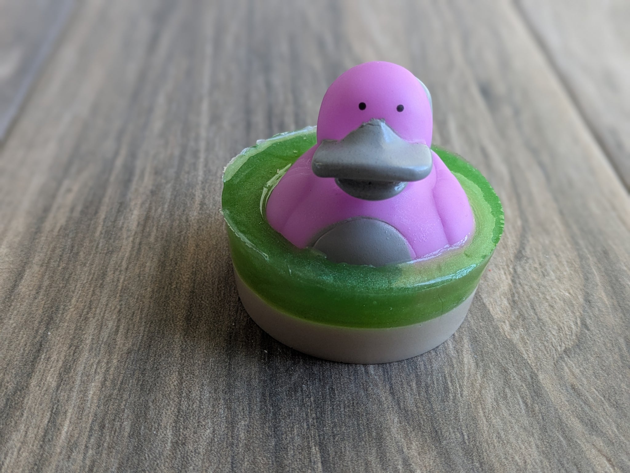 AUSTRALIAN OUTBACK Ducks Rubber Duck Kids Soap SPRING – Jacobs Ladder