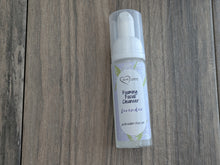 Load image into Gallery viewer, Foaming Facial Wash / Rose Water Toner TRAVEL SIZE