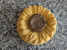 Load image into Gallery viewer, SUNFLOWER Bath Bomb AUTUMN FALL